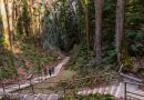 Pacific Spirit Regional Park rings UBC’s Vancouver campus with lush rainforest trails.