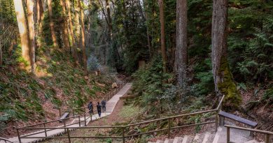 Pacific Spirit Regional Park rings UBC’s Vancouver campus with lush rainforest trails.