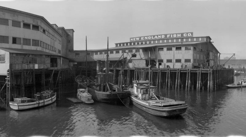 Canadian Fishing Company, New England Fish Company and Grand Trunk Pacific buildings and docks [City of Vancouver Archives PAN N40.2]